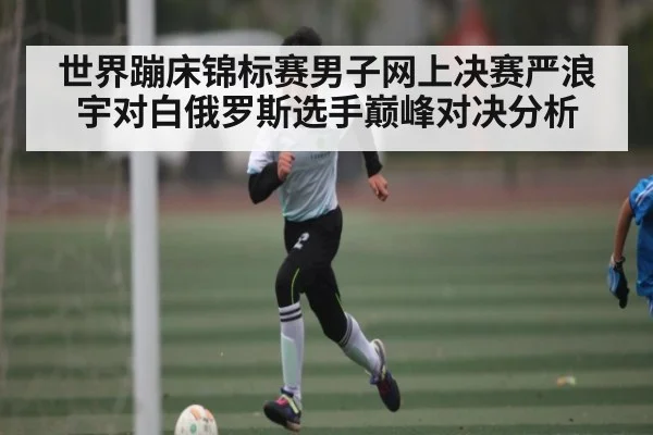世界蹦床锦标赛男子网上决赛严浪宇对白俄罗斯选手巅峰对决分析